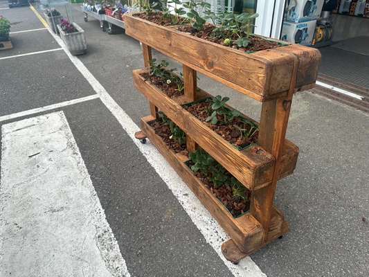 Palet Macetero R�stico vac�o Artesanal